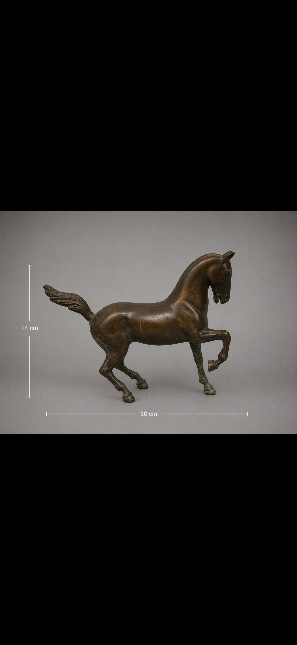 Paire de chevaux en bronze patiné – XXe siècle – H. 24 cm